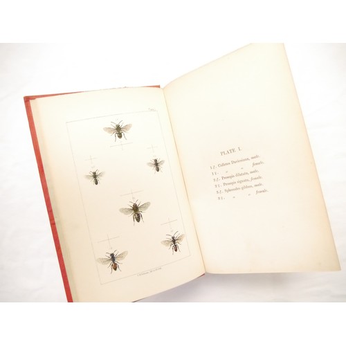 9057 - W.E. Shuckard: 'British Bees: An Introduction to the Study of the Natural History and Economy of the... 