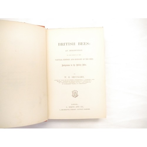 9057 - W.E. Shuckard: 'British Bees: An Introduction to the Study of the Natural History and Economy of the... 