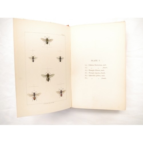 9057 - W.E. Shuckard: 'British Bees: An Introduction to the Study of the Natural History and Economy of the... 