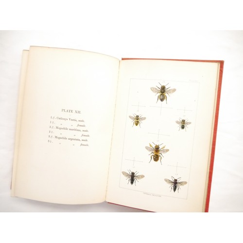 9057 - W.E. Shuckard: 'British Bees: An Introduction to the Study of the Natural History and Economy of the... 