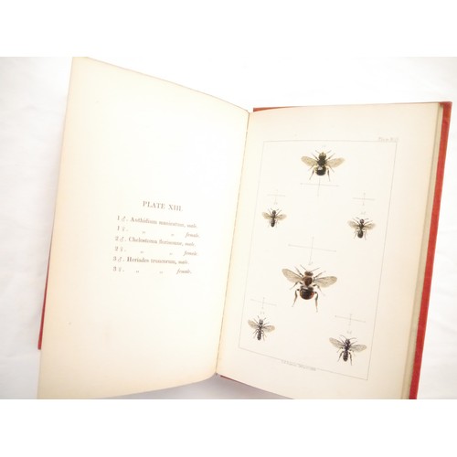 9057 - W.E. Shuckard: 'British Bees: An Introduction to the Study of the Natural History and Economy of the... 