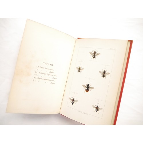 9057 - W.E. Shuckard: 'British Bees: An Introduction to the Study of the Natural History and Economy of the... 
