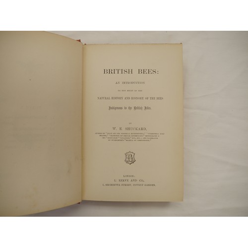 9057 - W.E. Shuckard: 'British Bees: An Introduction to the Study of the Natural History and Economy of the... 