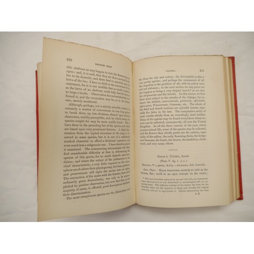 9057 - W.E. Shuckard: 'British Bees: An Introduction to the Study of the Natural History and Economy of the... 