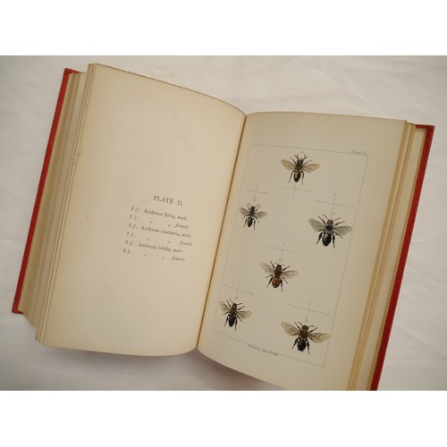9057 - W.E. Shuckard: 'British Bees: An Introduction to the Study of the Natural History and Economy of the... 