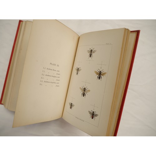 9057 - W.E. Shuckard: 'British Bees: An Introduction to the Study of the Natural History and Economy of the... 