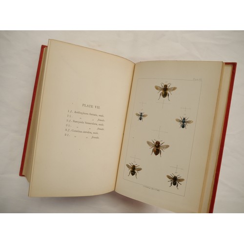 9057 - W.E. Shuckard: 'British Bees: An Introduction to the Study of the Natural History and Economy of the... 