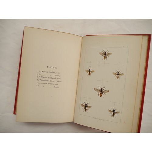 9057 - W.E. Shuckard: 'British Bees: An Introduction to the Study of the Natural History and Economy of the... 
