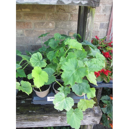 Lot 3040      