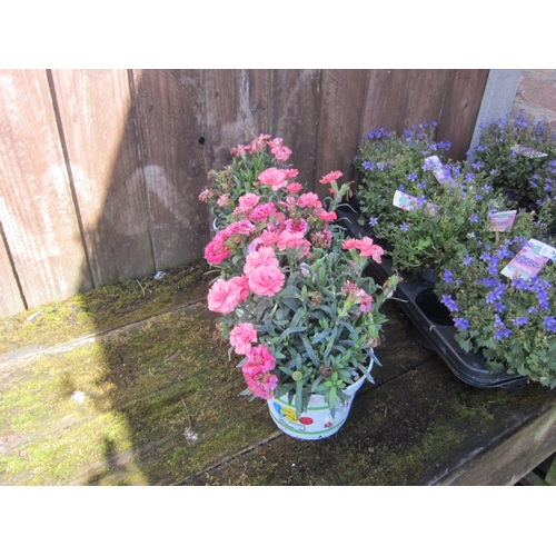 Lot 3059      