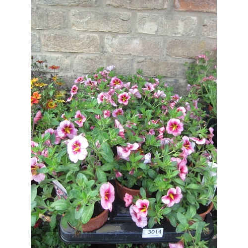 Lot 3014      
