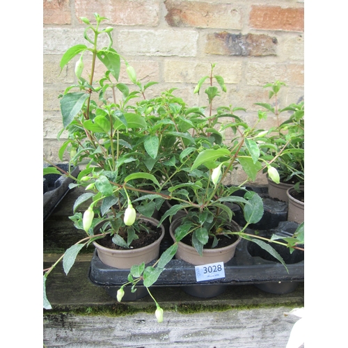 Lot 3028      