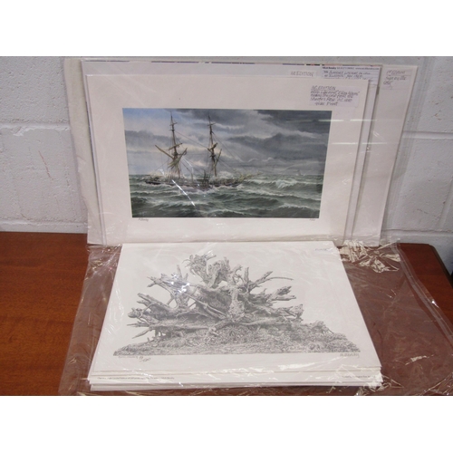 Lot 1031      