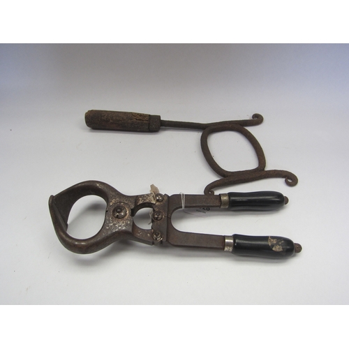 Lot 6028      