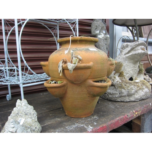 2024 - A terracotta strawberry pot