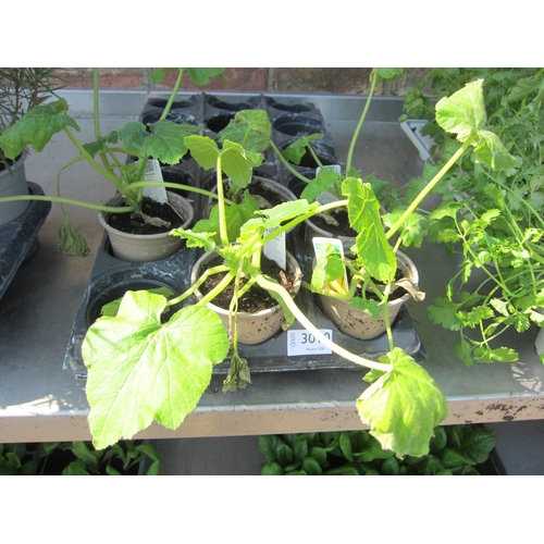 Lot 3010      