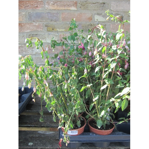 Lot 3032      
