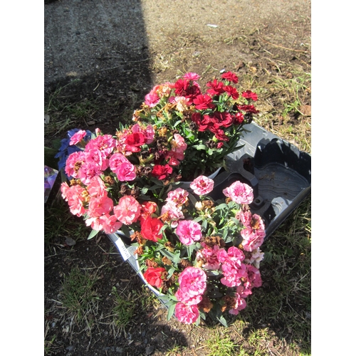 Lot 3058      