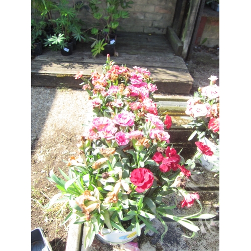 Lot 3059      