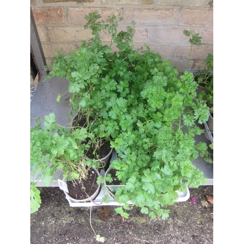 Lot 3015      