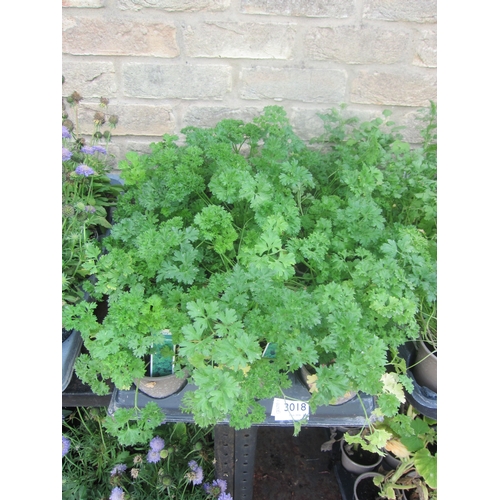 Lot 3018      