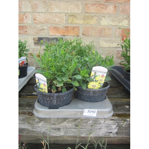 Lot 3040      