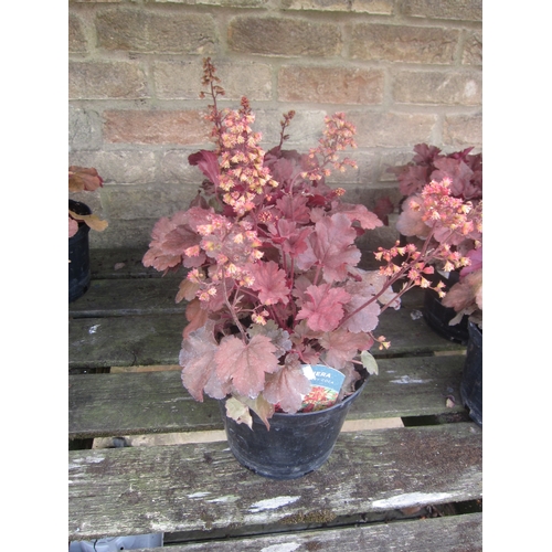 Lot 3047      