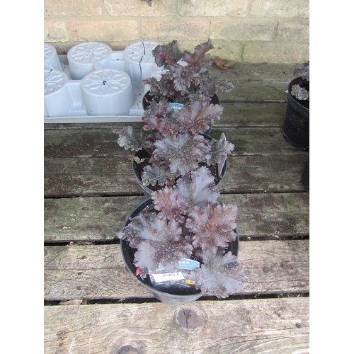 Lot 3051      