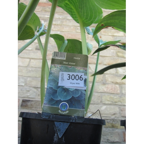 Lot 3006      