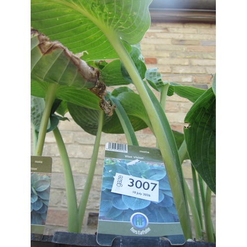 Lot 3007      