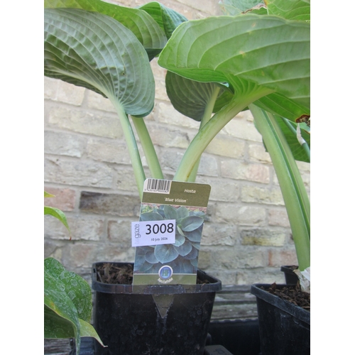 Lot 3008      