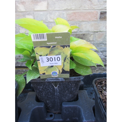 Lot 3010      
