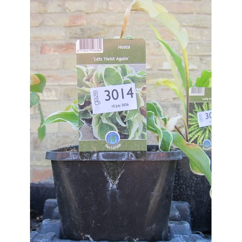 Lot 3014      