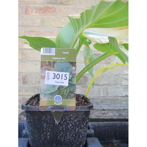 Lot 3015      