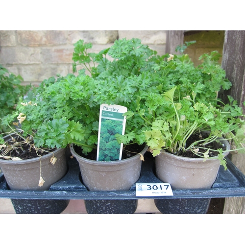Lot 3017      