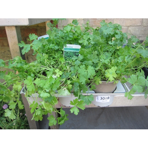 Lot 3018      