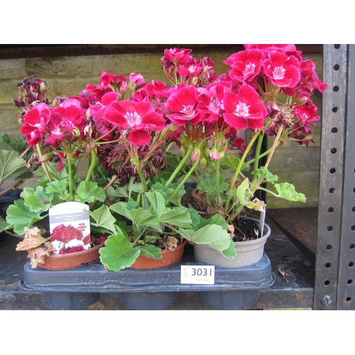 Lot 3031      