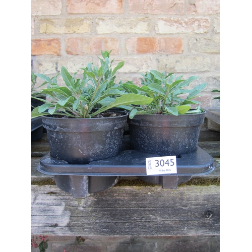 Lot 3045      