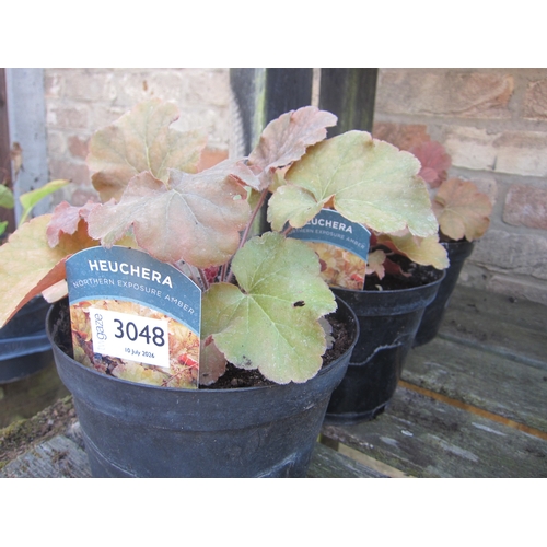 Lot 3048      