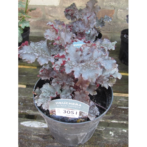 Lot 3051      