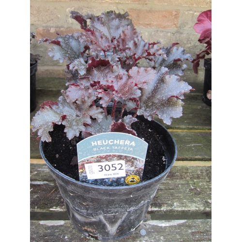 Lot 3052      