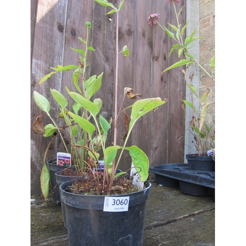 Lot 3060      