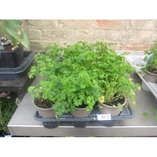 Lot 3012      