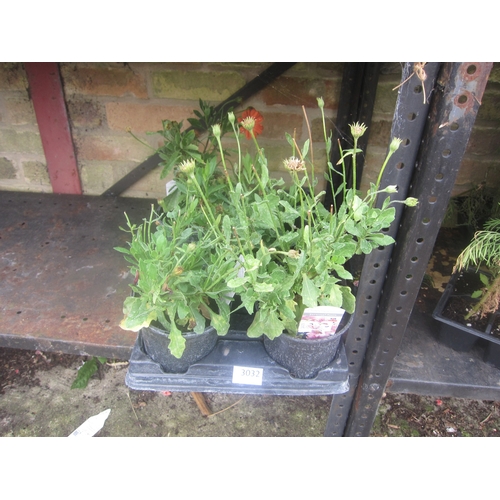 Lot 3032      
