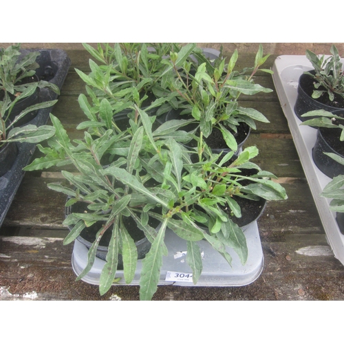 Lot 3044      