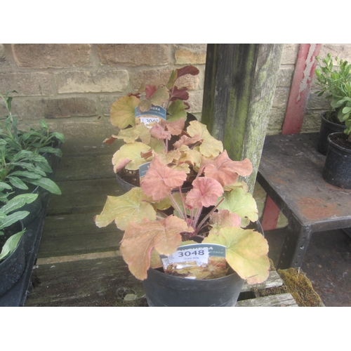 Lot 3048      