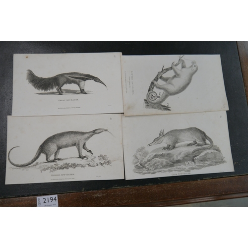 Lot 892       