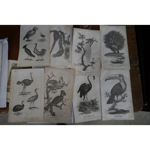 Lot 893       