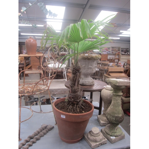 Lot 2015      