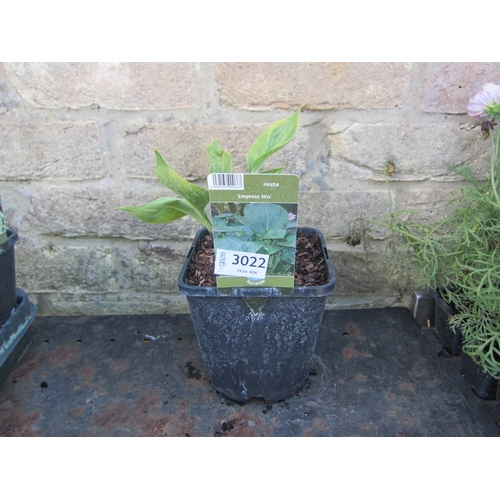Lot 3022      